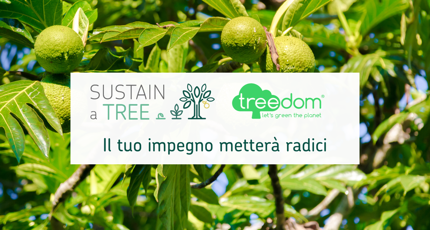 sustain-a-tree-treedom